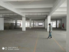 厚街精品花园独院厂房出租 打造理想广告设计创作空间